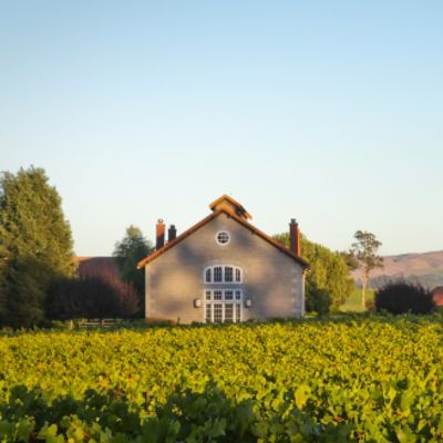 Etude Wines